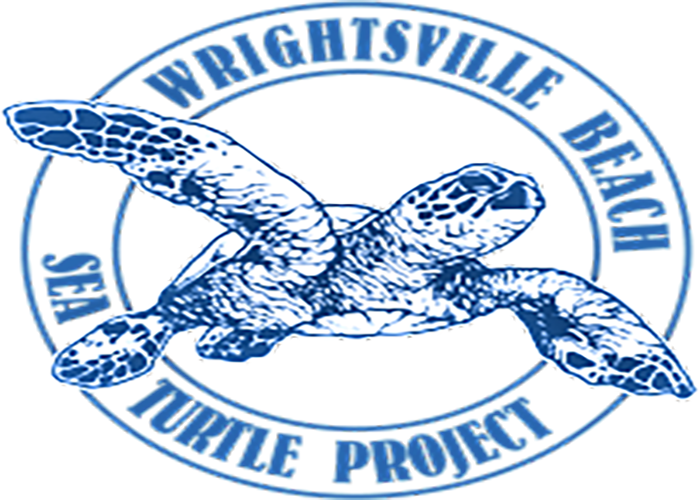 Wrightsville Beach Sea Turtle Project – photo 3