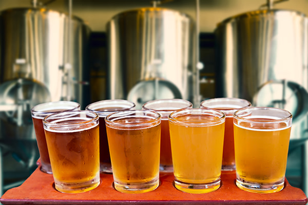 Waterline Brewing Co. – photo 4