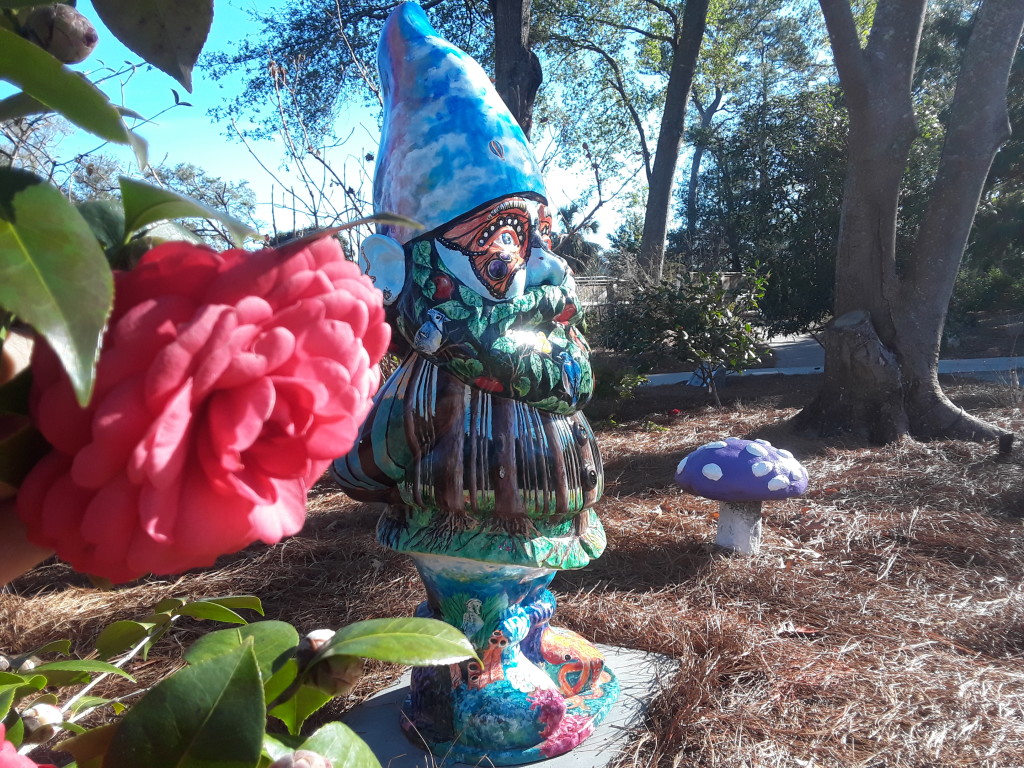 New Hanover County Arboretum – photo 6
