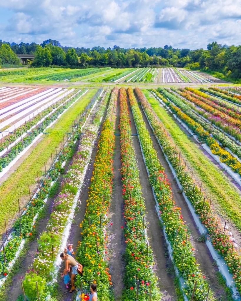 Trask Family Farms – photo 9