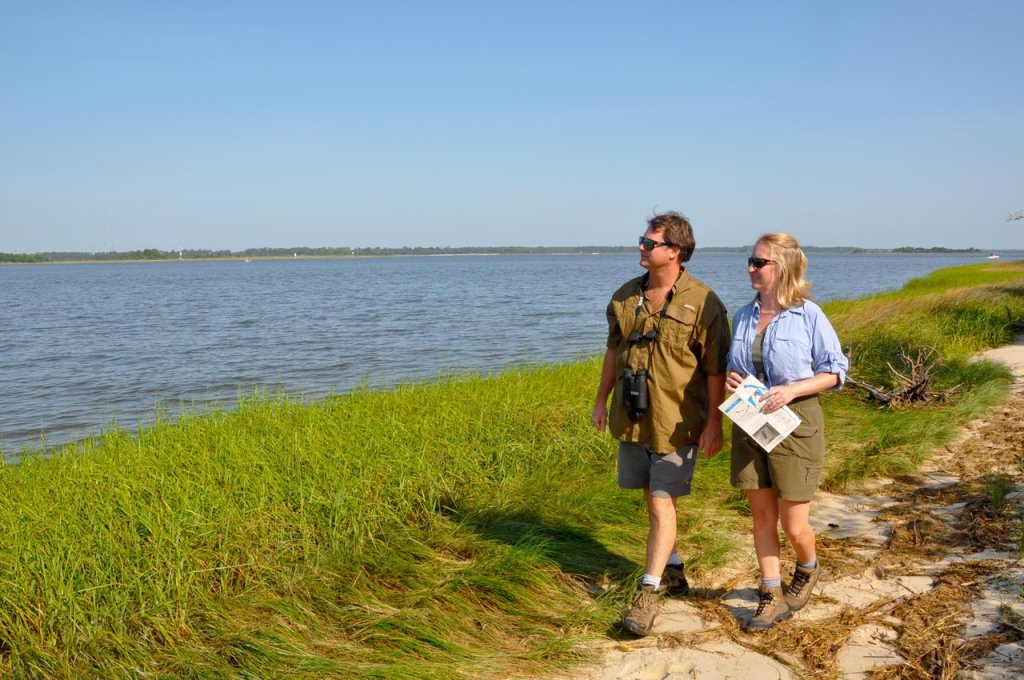 Bird Hike at Carolina Beach State Park