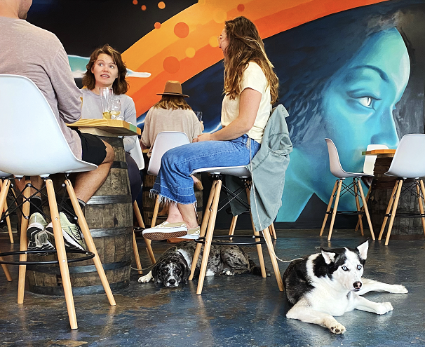 Hi-Wire Brewing Wilmington – photo 2