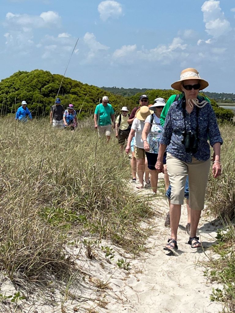 Wrightsville Beach Scenic Tours – photo 2