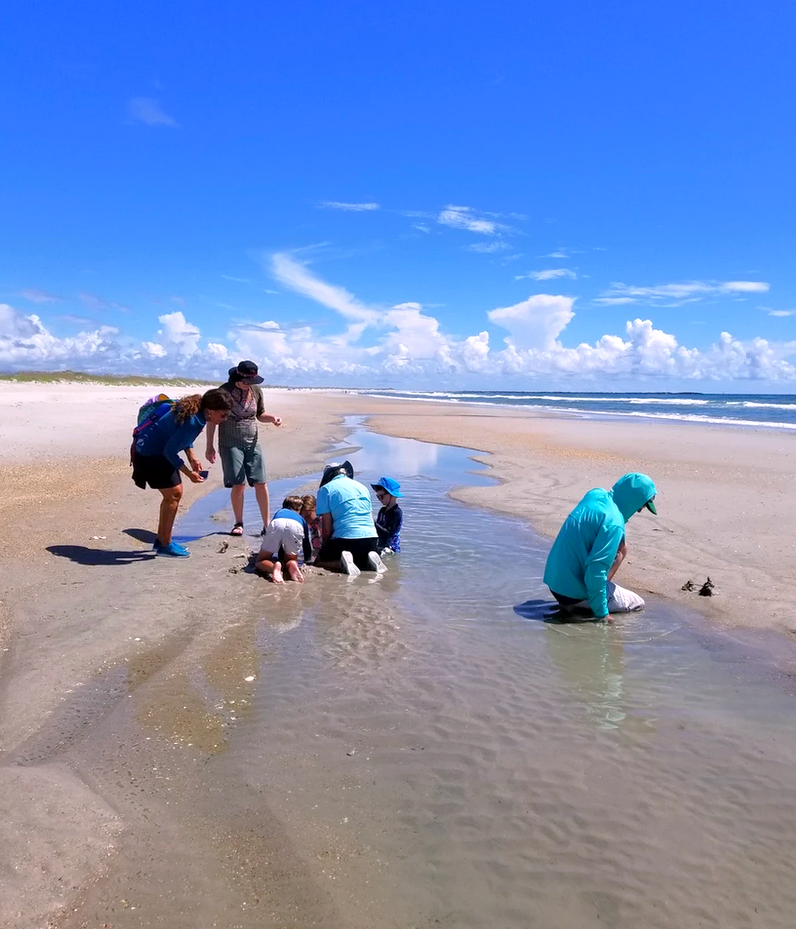 Coastal Eco Adventures – photo 3
