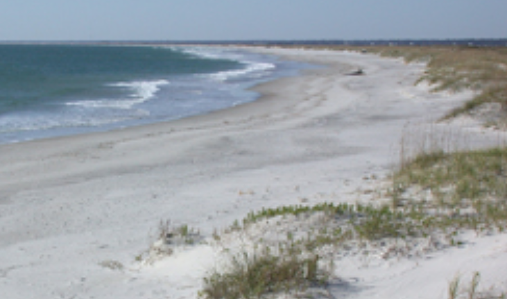 Masonboro Island Reserve – photo 4