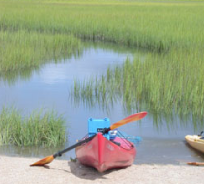 Masonboro Island Reserve – photo 5