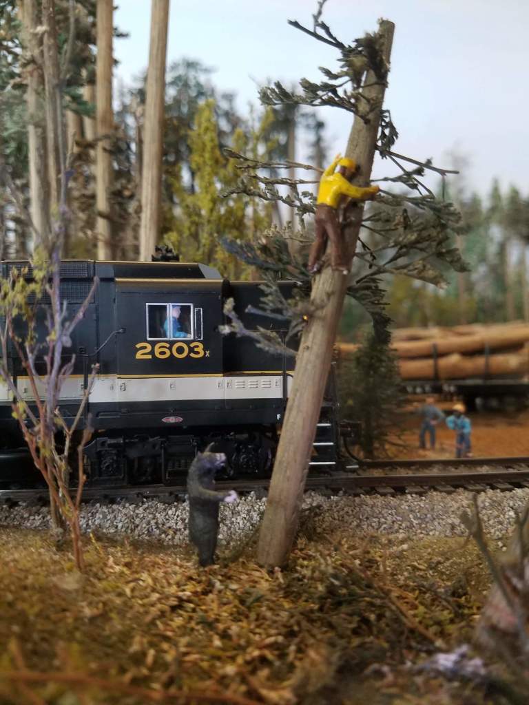 Wilmington Railroad Museum – photo 5