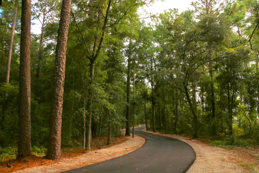 Hanover Pines Nature Park – photo 3