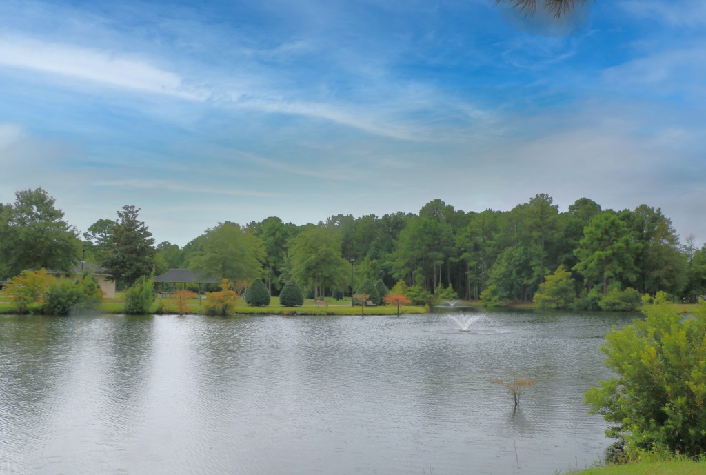 Ogden Park – photo 1