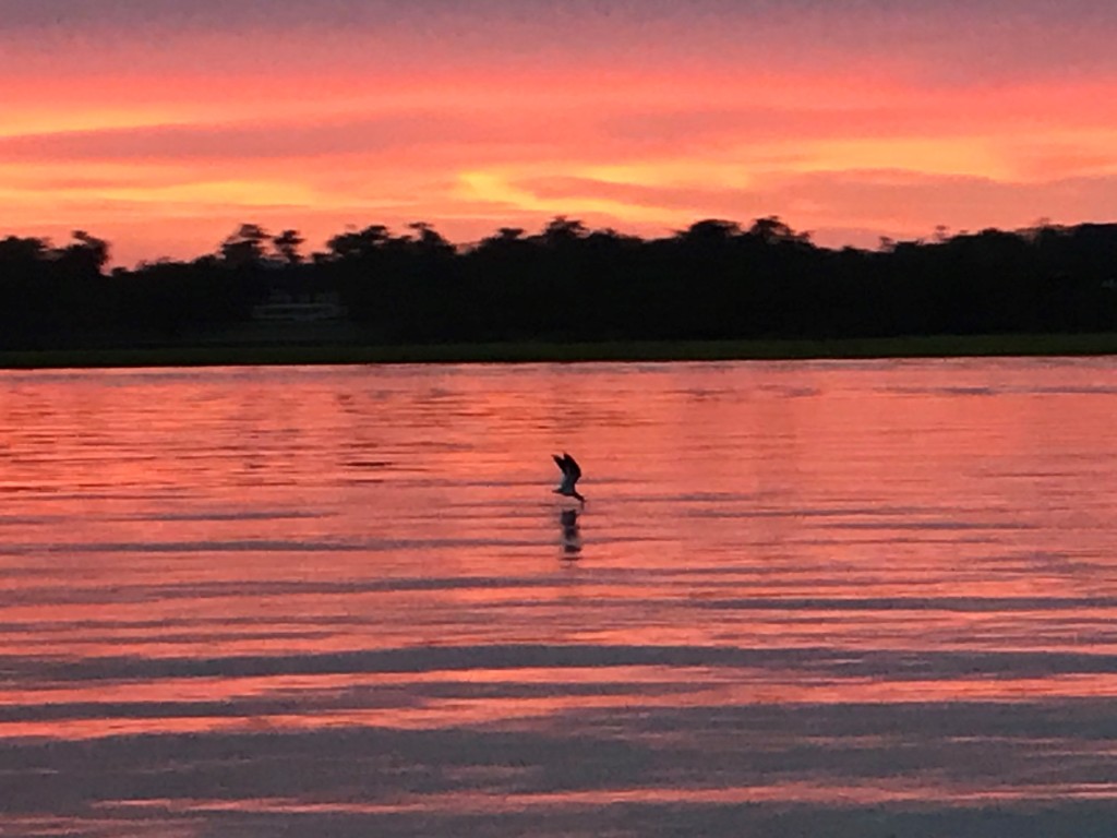 Wrightsville Beach Scenic Tours – photo 5