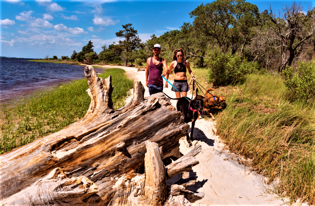 Carolina Beach State Park – photo 1