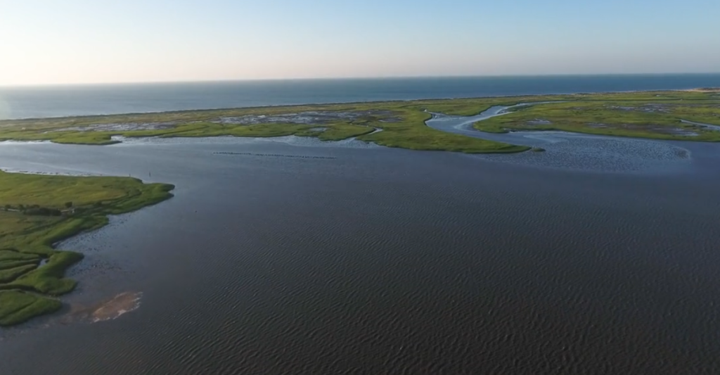 Zeke's Island Reserve – photo 2