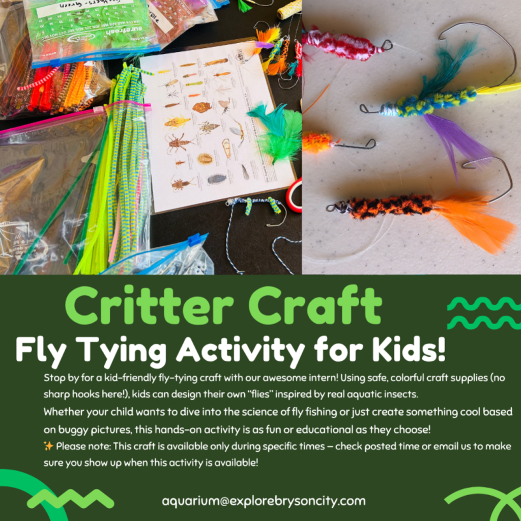 This is Events Image