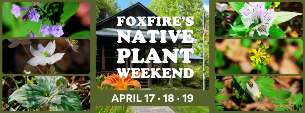 This is Events Image