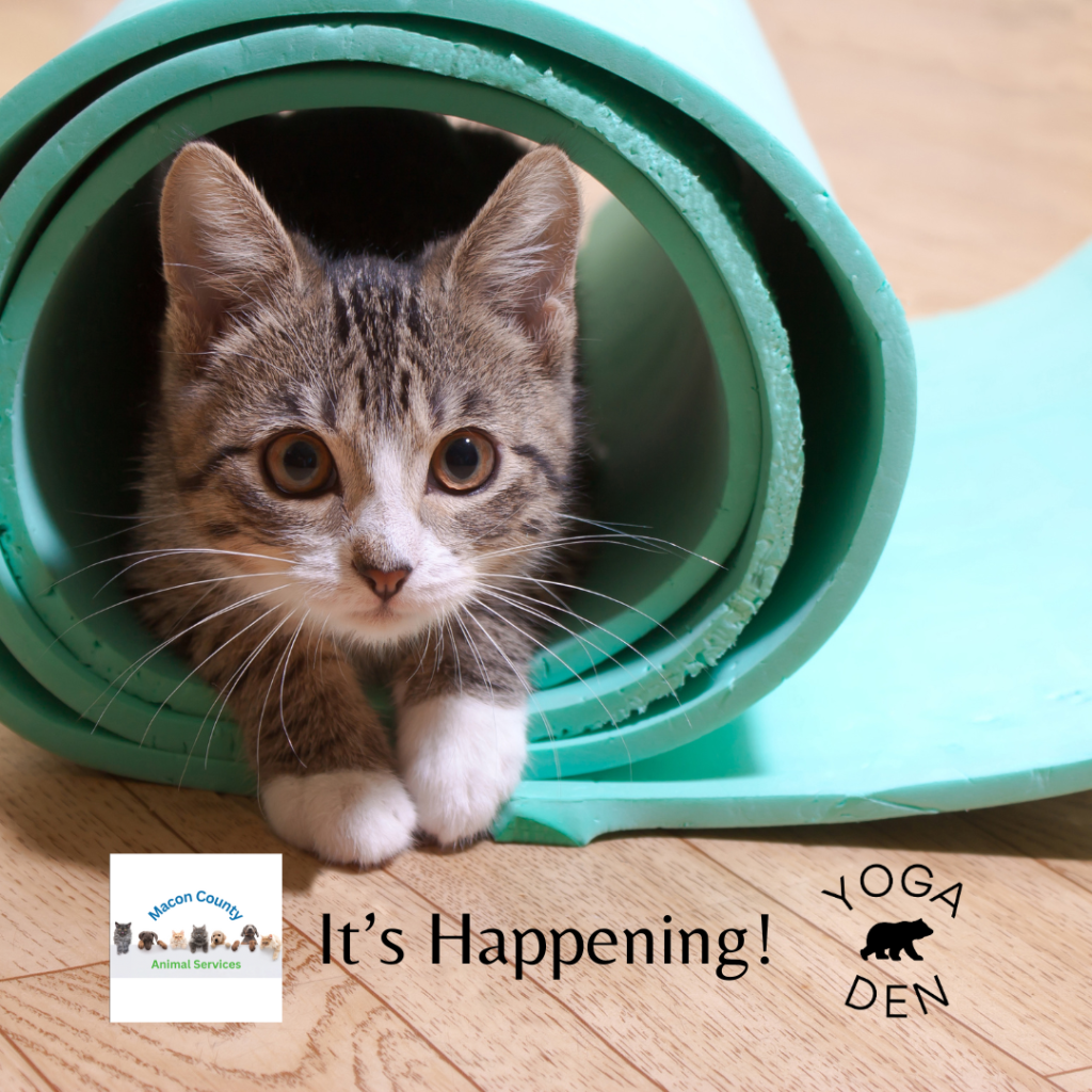 This is Events Image