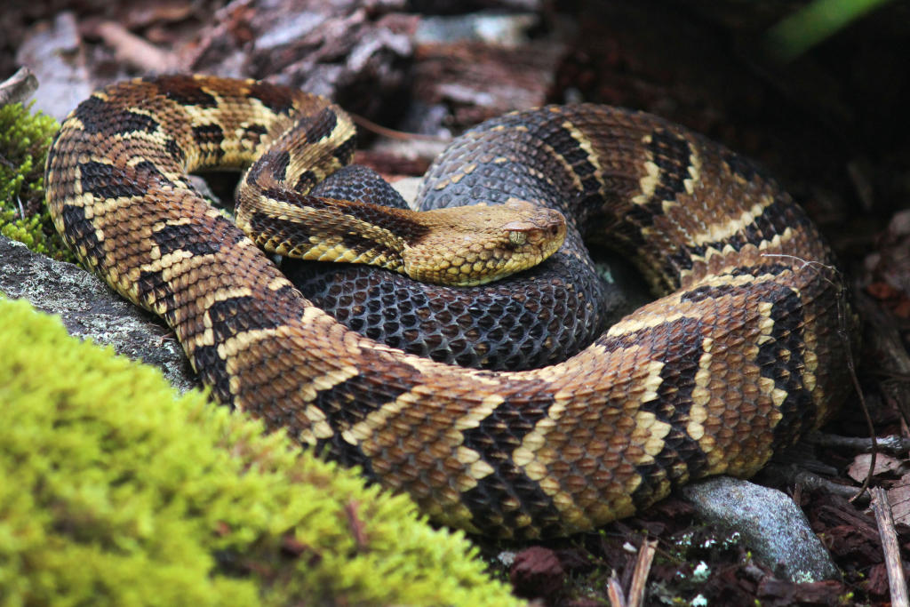 This is Events Image