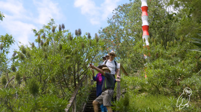 Sculpture park walk
