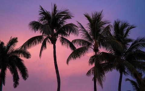 Beaches in Miami