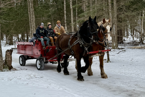 Muskoka Maple Trail Wagon Ride at Back of Beyond Equine Centre