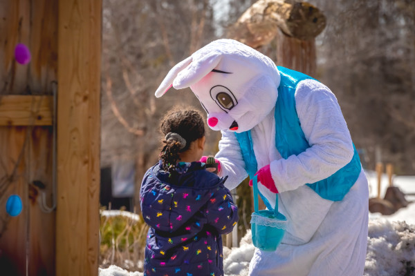 The Bunny Hop at Sandhill Nursery