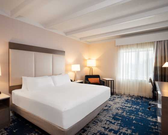 Standard King Guest Room