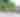 Bicyclists