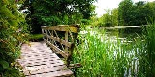 Ann Lee Pond and Nature Preserve