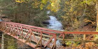 Huyck Preserve in Fall
