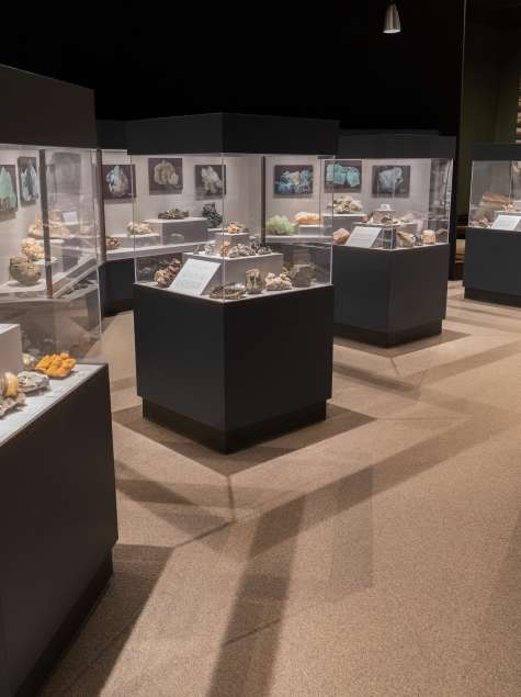 New York State Museum