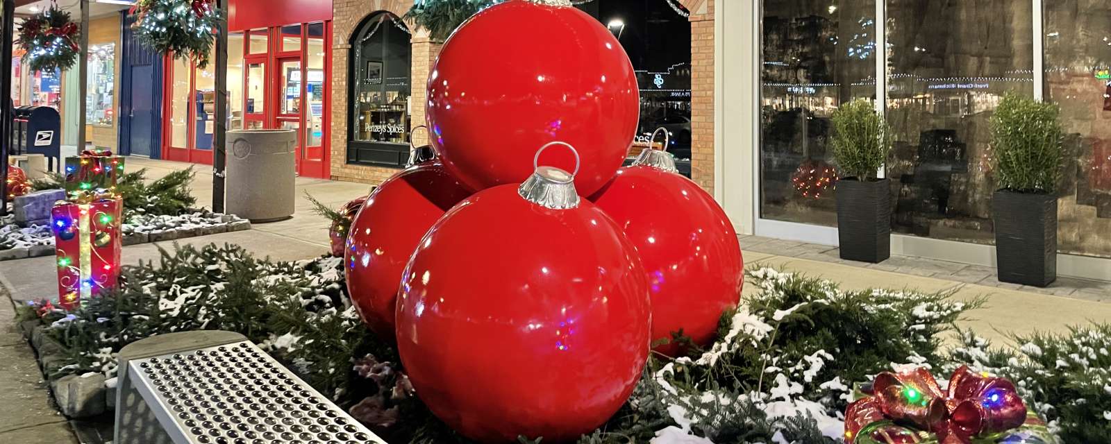 Stuyvesant Plaza Holiday