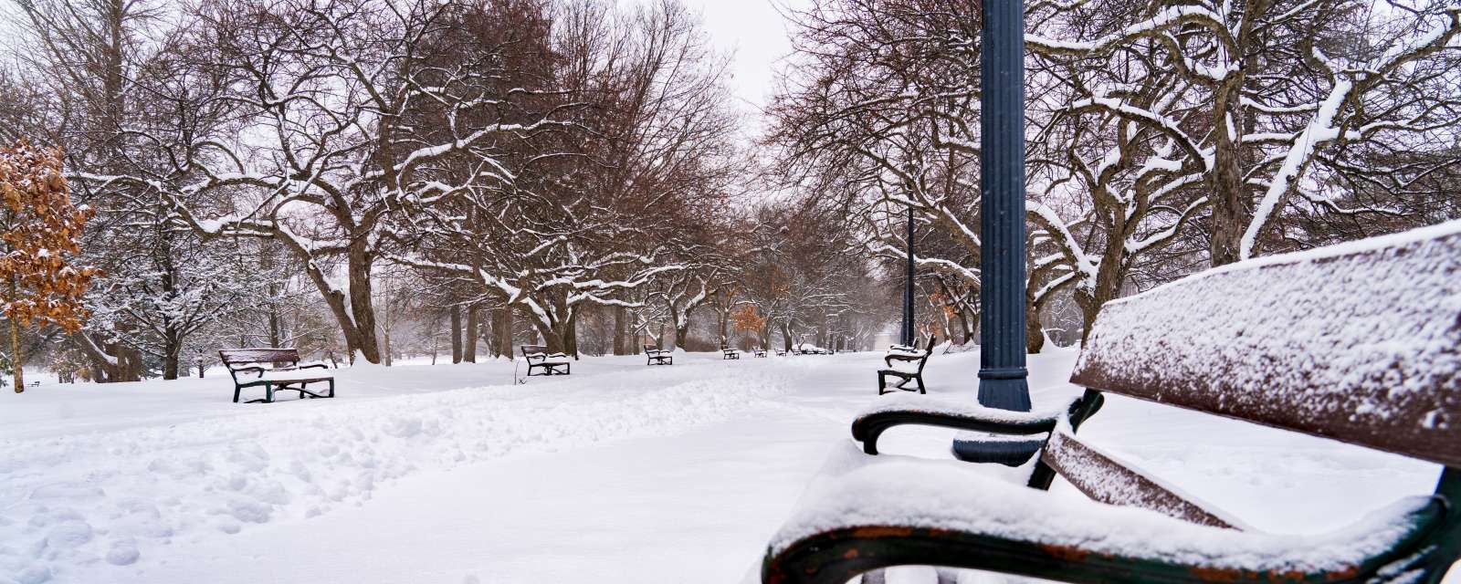 Winter Washington Park