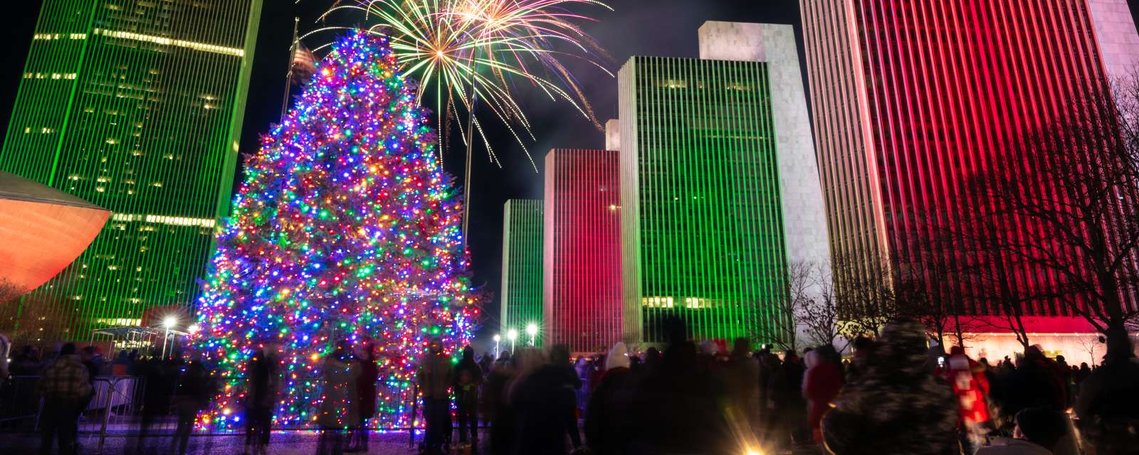 New York State Holiday Tree Lighting at Empire State Plaza