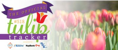 Tulip Tracker Blog Header 2023