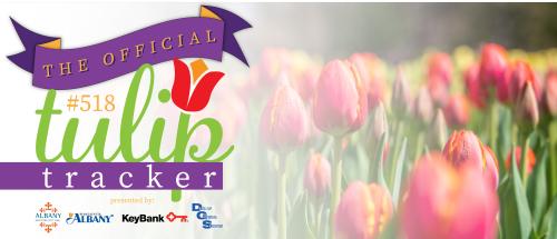 Tulip Tracker Blog Header 2023