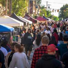 Crowds walk through a busy Art on Lark festival in Albany, NY, lined with vendor tents, local artists, and food stands during a sunny evening.