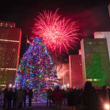 A large Christmas tree covered in colorful lights glows in the center of Empire State Plaza at night as a crowd looks on, with red and green–lit office towers and bright red fireworks bursting in the sky overhead.