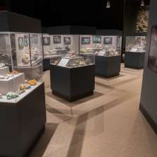 New York State Museum