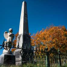 Albany Rural Cemtery Fall