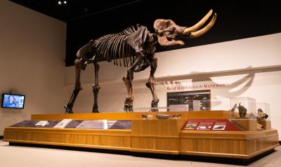 New York State Museum