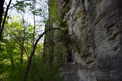 thacher park