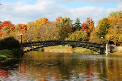 Washington Park during the Fall