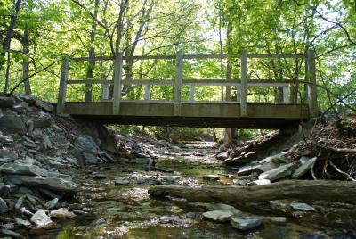 John Boyd Thacher State Park