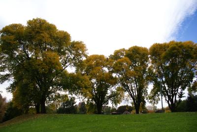 Washington Park