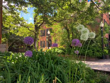 Quackenbush Square