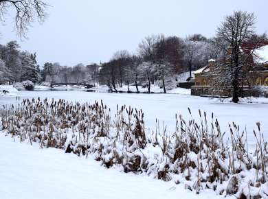 Washington Park winter
