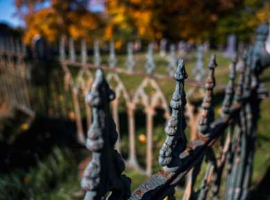 Albany Rural Cemtery Fall