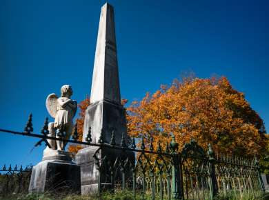 Albany Rural Cemtery Fall
