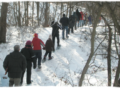 Pine Bush