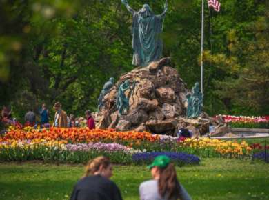Copy of Tulip Festival