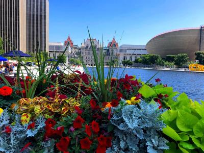 Empire State Plaza summer